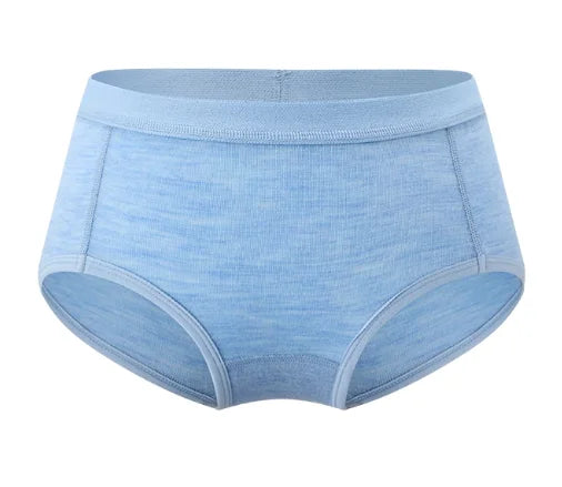 100% Merino Wool Briefs Women Underwear 170g Lightweight Quick Drying Breathable Sports Hiking Yoga Woman Daily Briefs Bikini