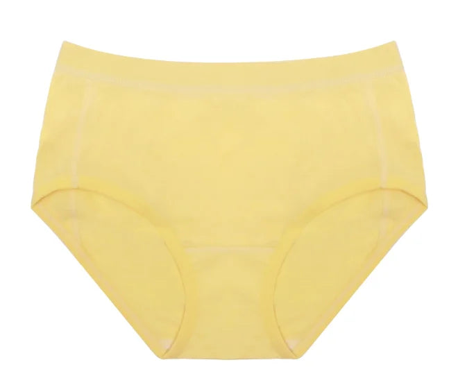 100% Merino Wool Briefs Women Underwear 170g Lightweight Quick Drying Breathable Sports Hiking Yoga Woman Daily Briefs Bikini