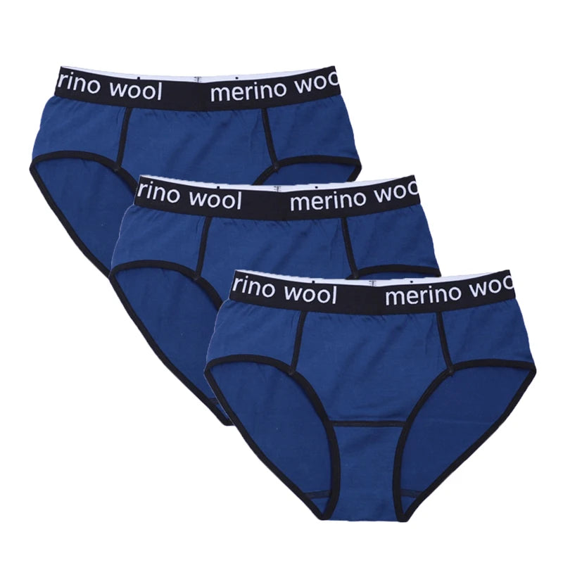 Women's 100%/87% Merino Wool Bikini Brief Merino Underwear Lightweight Briefs Sports Active Panties Soft Breathable Anti-Odor