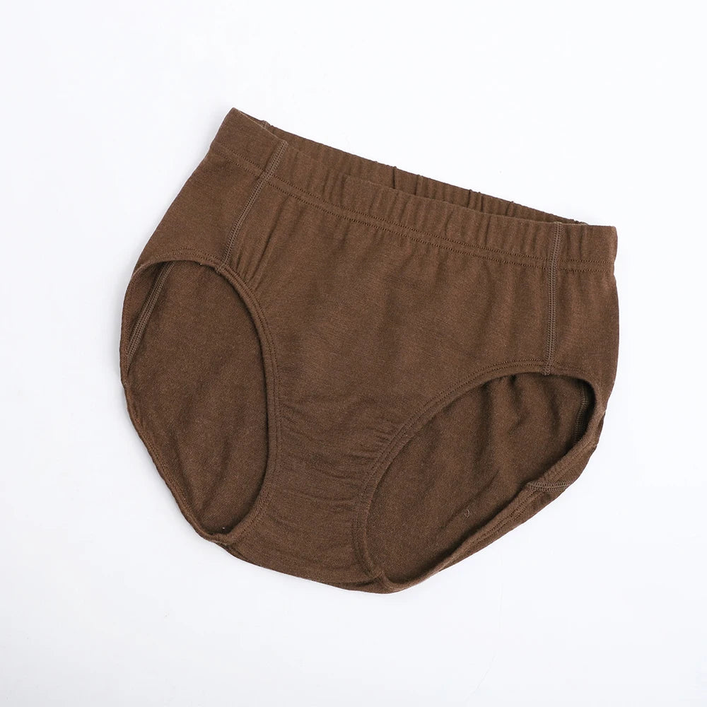 Women's 100% Merino Wool briefs High-waisted Underwear Soft Breathable Panties Hiking Outdoor Moisture Wicking Ladies Briefs