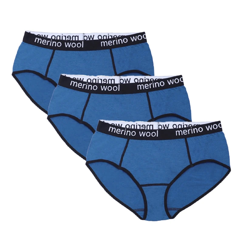 Women's 100%/87% Merino Wool Bikini Brief Merino Underwear Lightweight Briefs Sports Active Panties Soft Breathable Anti-Odor