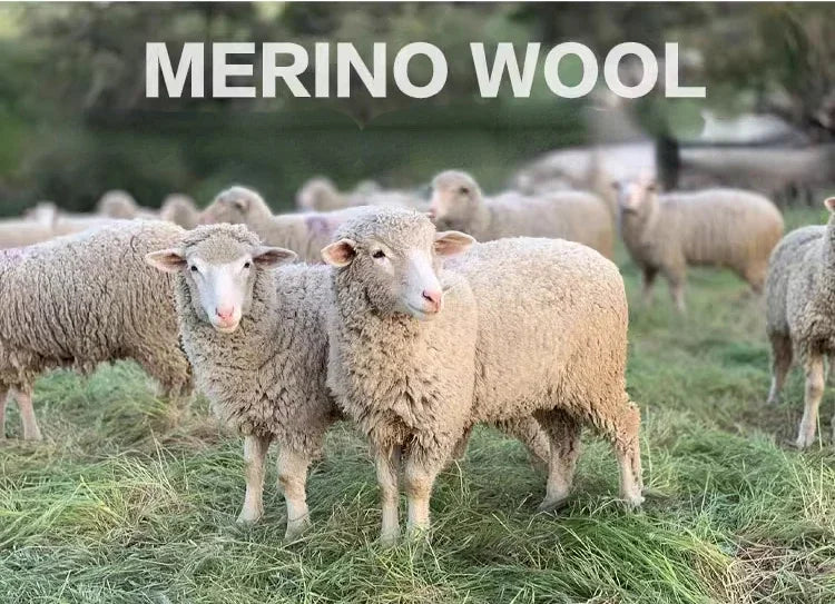 87% Merino Wool Underwear Women Boxer Briefs Breathable Boy Shorts Dry Fit Base Layer Merino Wool  Moisture Wicking Under Shorts